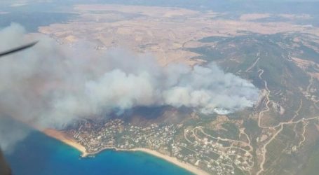 “Nos estamos cocinando vivos”: Europa arde por incendios mientras las temperaturas superan los 38 °C
