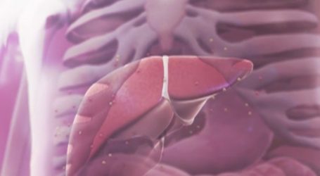 Científicos editaron un gen que podría reducir el colesterol alto de forma permanente